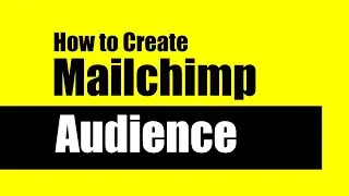 Creating an Audience in Mailchimp | How to Create an Audience in MAILCHIMP