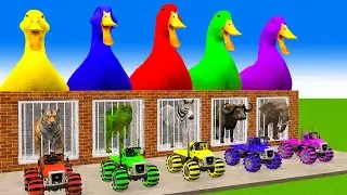 5 Giant Duck Cartoon,Tiger,Cow,Zebra,Gorilla,Elephant,Lion,T-Rex Wild Animals Crossing Fountain 2023