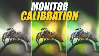 The Quick & Easy Way To Calibrate Your Monitor for Photography