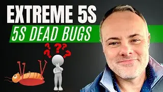 The Five S's (5S) of Lean Explained (Plus 4 Pro Tips)