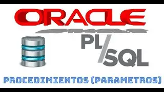 Curso de Oracle PLSQL en español desde cero | PROCEDIMIENTOS ALMACENADOS (PARAMETROS) video(12)