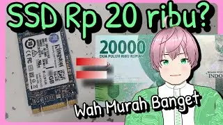 Mencoba Beli SSD (Solid State Drive) harga 20 ribu - murah banget?? [vTuber Indonesia]