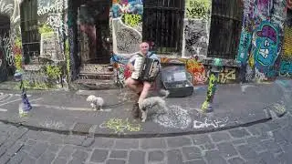 Accordion Musician in Hosier Lane, Melbourne, Australia