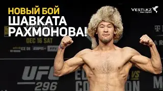 Возвращение Шавката Рахмонова: главный бой или супертурнир UFC?