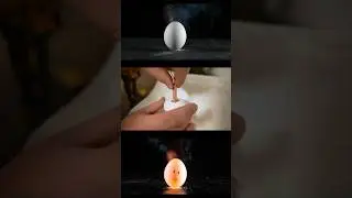 The most satisfying egg