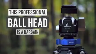 Best Bargain Ball Head