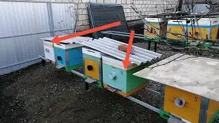 Когда и как можно переставить улья с пчёлами  в зимний  период.