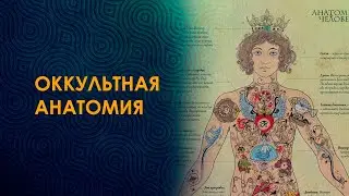 Оккультная анатомия. О курсе.