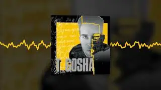 T.Gosha - Город на Неве (Official audio)