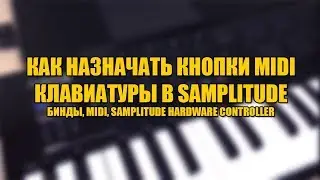 КАК НАЗНАЧАТЬ КНОПКИ MIDI КЛАВИАТУРЫ В SAMPLITUDE I БИНДЫ, MIDI, SAMPLITUDE HARDWARE CONTROLLER