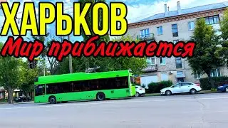 ХАРЬКОВ 15.06.24 ЛЮДИ ИЗМОЖДЕНЫ