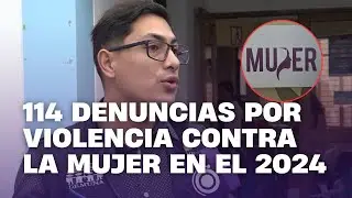 114 denuncias por violencia contra la mujer en el 2024