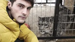 Snow Leopards: Ghosts in the Snow (Full Episode) | Part 4 | BBC Earth