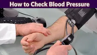 how to measure Blood pressure I How to check Blood pressure I Scientech Biology I Bp check at home