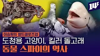 “혹시 스파이?” 누명써서 8개월 구금당한 비둘기… 기상천외 동물스파이 / 14F