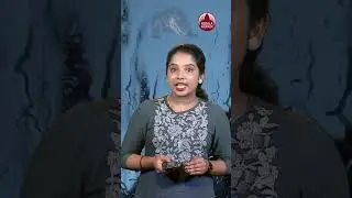 ആറ് ഭാര്യമാർ, കുട്ടികളുടെ എണ്ണം 10,000,123 വയസുള്ള ഹെന്റി  ചില്ലറക്കാരനല്ല #crocodile #viralanimals