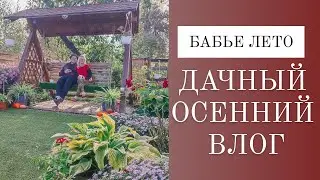 БАБЬЕ ЛЕТО🍁 Осенний ДАЧНЫЙ ВЛОГ