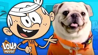 The Pugs & Louds Team Up for an Opening Theme Song 🎵 | The Loud House