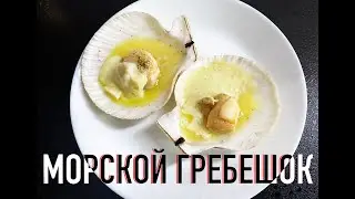 МОРСКОЙ ГРЕБЕШОК НА РАКОВИНЕ ЗА 1 МИНУТУ! ВСЕГО 2 ИНГРЕДИЕНТА И ШИКАРНОЕ БЛЮДО ДЛЯ ВАШЕГО СТОЛА