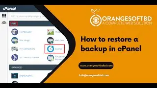 How to Restore a Backup in Cpanel With Orange Soft BD