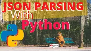 JSON PARSING EXAMPLE | PYTHON | PANDAS EXPLODE | JSON NORMALIZE | VIEWER HELP