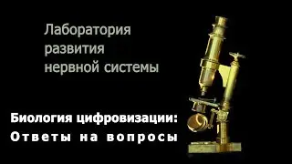 Биология цифровизации: С. В. Савельев отвечает на вопросы