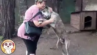 RIVEDE IL SUO PADRONE DOPO 10 ANNI ... GUARDA COSA FA