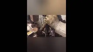 Замена ШРУСа на китайце