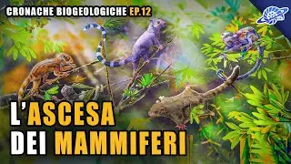 L'Ascesa dei Mammiferi | Paleocene (Paleogene) | Cronache Biogeologiche Ep. 12