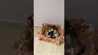 a nurturing mother cat is depicted tenderly nursing her offspring