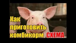 Выращивание свиней в домашних условиях / Как приготовить комбикорм