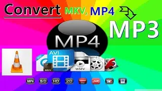 MKV to MP3