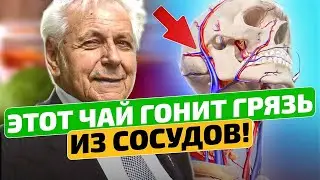 Неумывакин: Чистит сосуды, как щетка! Чистка сосудов