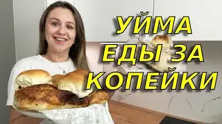 Это просто 😮 шок! Почти бесплатные продукты и еда в Германии для всех/ Приложение toogoodtogo