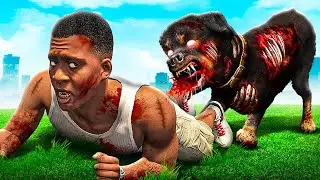 GTA 5 FRANKLIN KUCHUGI QUTURDI CHOP ENDI VAXSHIY