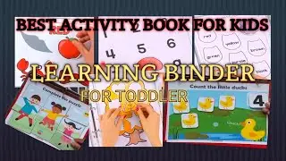 Toddler learning folder | learning binder | busy book | learning is for everyone