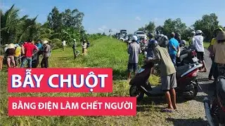 Nghi dùng điện bẫy chuột ở ruộng làm chết người