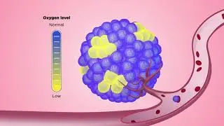 How do clustered circulating tumor cells initiate metastasis?