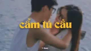 Cẩm Tú Cầu (1 Hour) - Rayo x Huỳnh Văn x KProx「Lo - Fi Ver.」 / Audio Lyrics Video