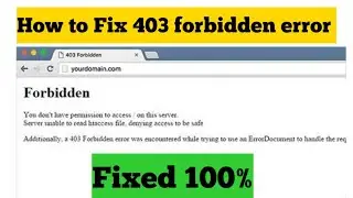 403 Forbidden Error Fix Windows 11| Fix Website Error Code 403 Access Denied on Chrome