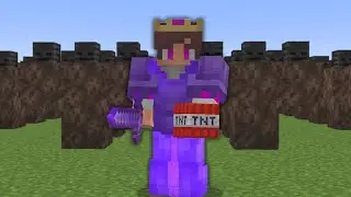 My Friends BETRAYED ME on a Minecraft SMP...