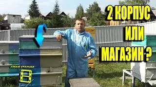 ЧТО ЛУЧШЕ ДЛЯ ГЛАВНОГО МЕДОСБОРА (ВЗЯТОК), МАГАЗИН ИЛИ КОРПУС? ДЛЯ НАЧИНАЮЩИХ ПЧЕЛОВОДОВ 18-21