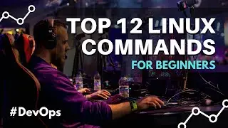 Top 12 Linux Commands for Beginners - Devops Crash Course