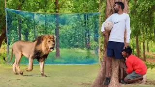 Lion Attack Man in African jungle | lion attack man in forest | lion attack stories part- 5