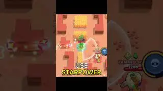 Bibi Guide! 