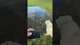 Underwater Pond Exploration