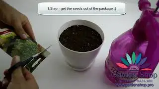 How to harvest cress seeds