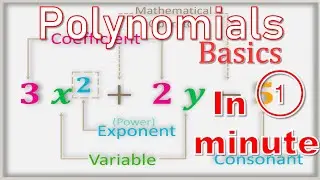 Polynomials Basics | What is Polynomials 