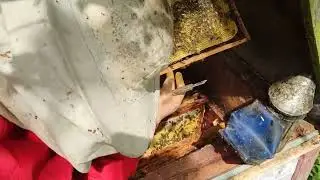 Силиконовые холстики для сбора прополиса. Ч.1