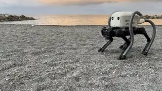 VERO: a Vacuum-cleaner-Equipped Quadruped RObot for Efficient Litter Removal